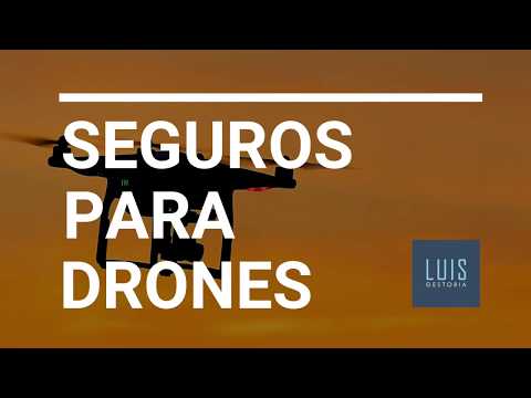 Seguros de drones recreativos (5 consejos para el uso de drones recreativos) 🚁