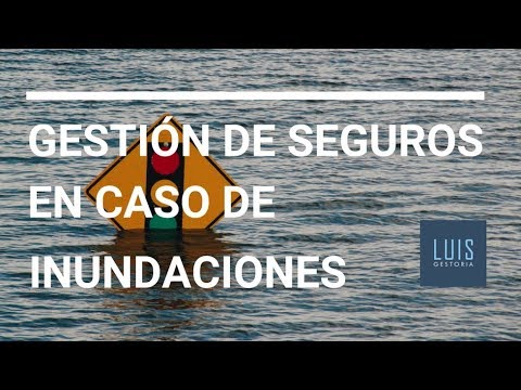 Seguros en caso de inundaciones 🌊 Siniestros en caso de inundaciones y el CCS