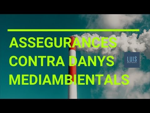 Assegurances contra danys medioambientals