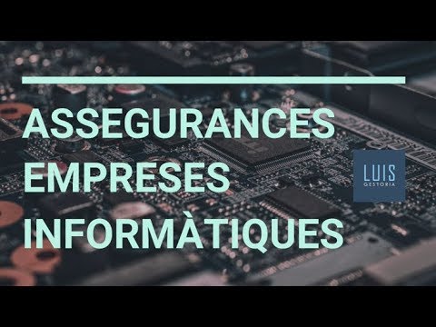 Assegurances d&#039;empreses informàtiques