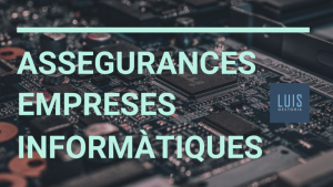 Assgurances d'empreses informàtiques